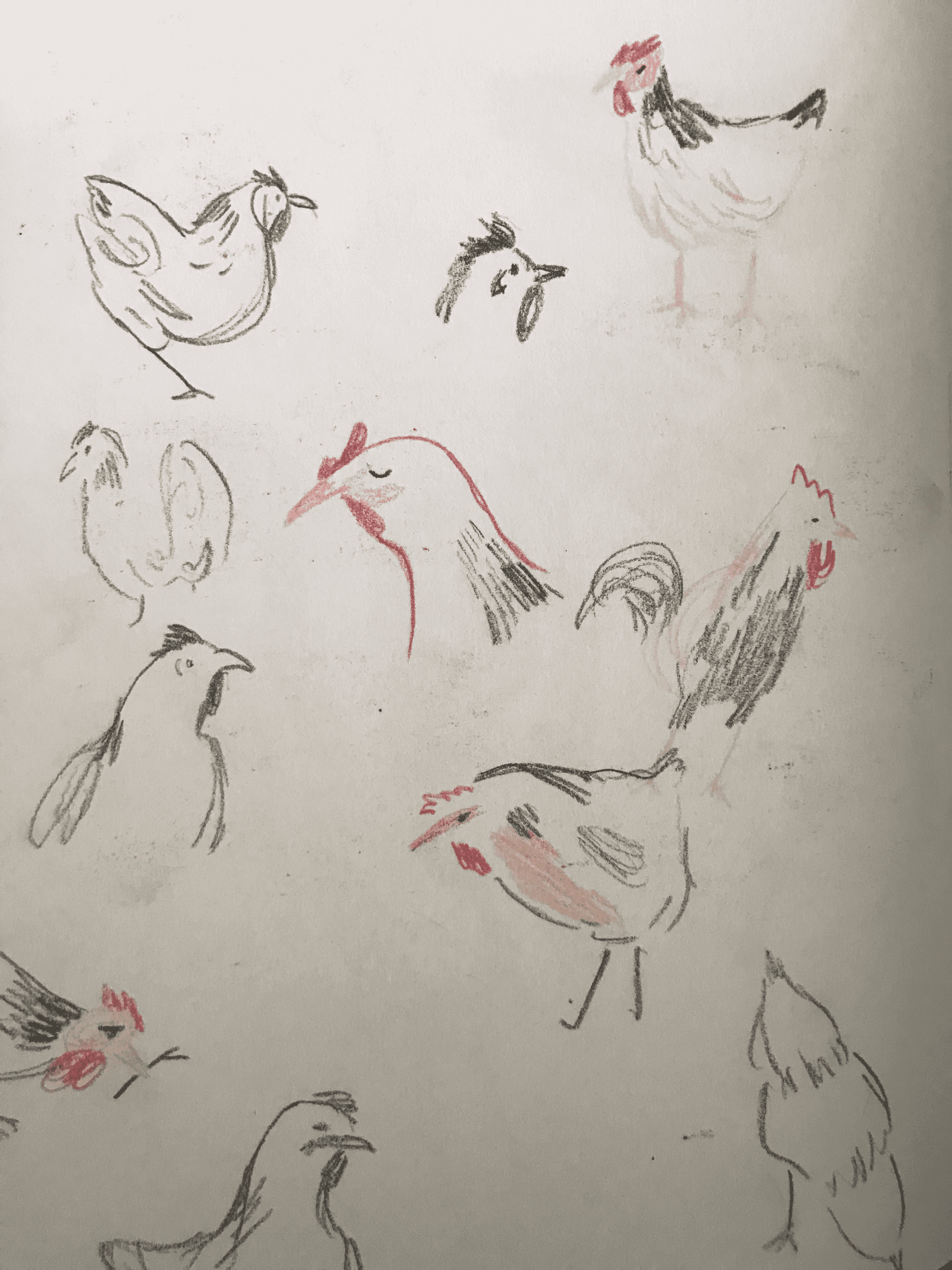 3. chickens.D7ca7pXH