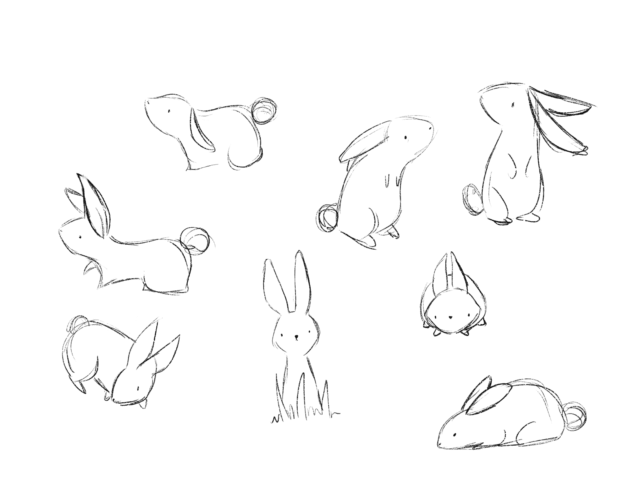 7. bunnies.CzIXW4bm