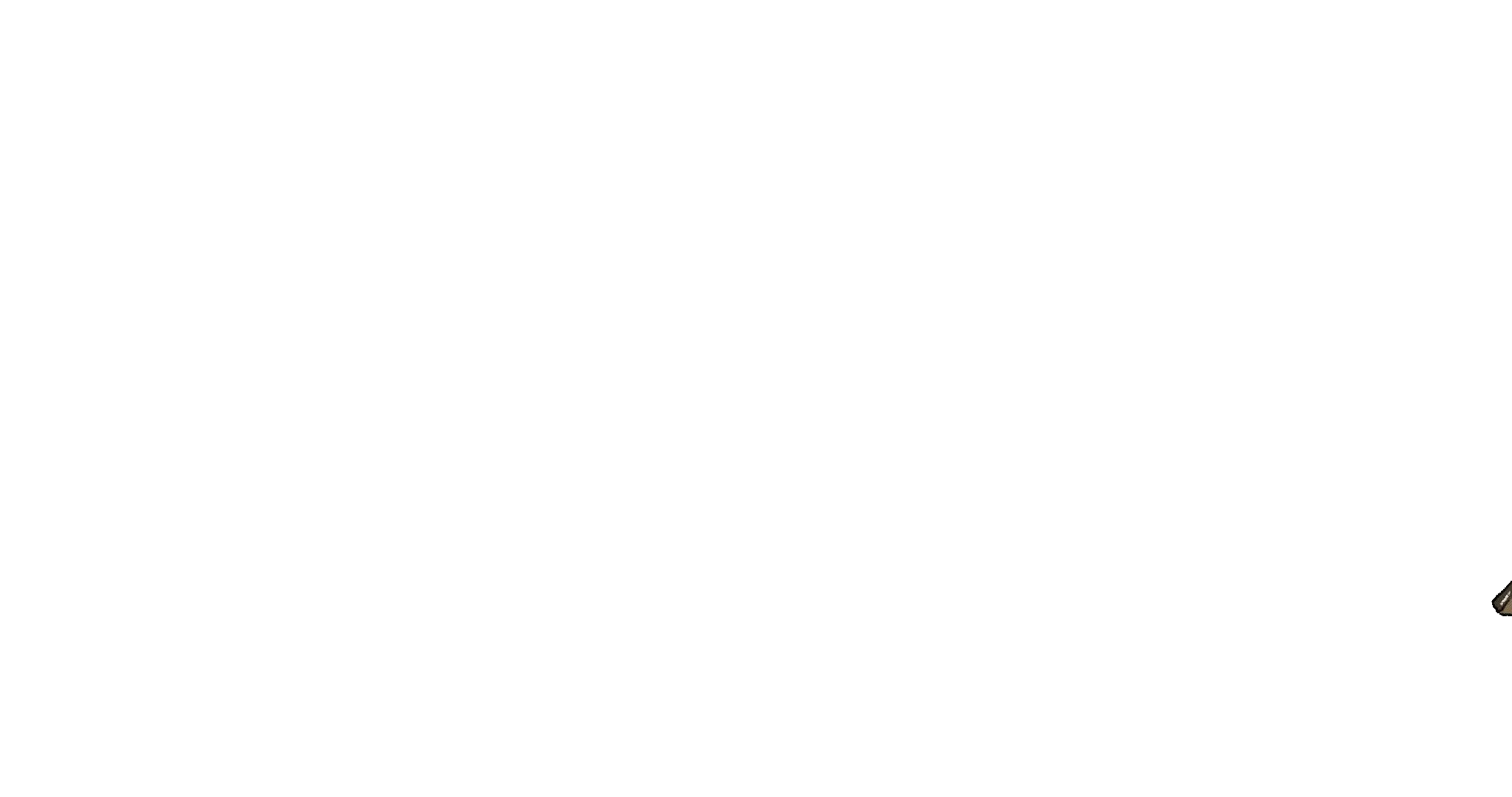 animation